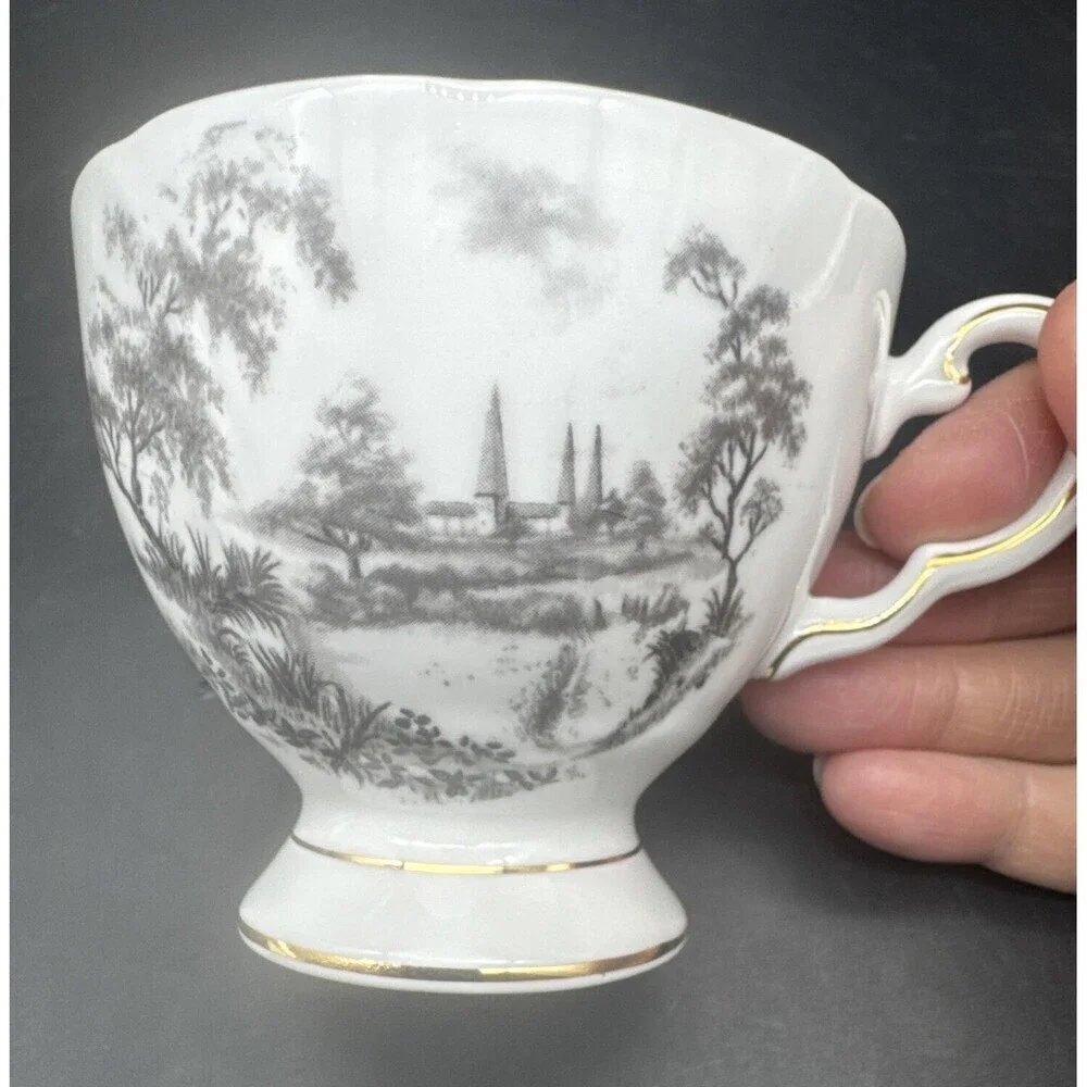 Tuscan BLACK & WHITE Countryside Fine Bone China‎ Tea Cup & Saucer England